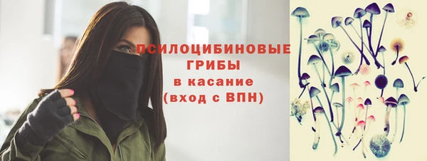 метадон Белокуриха