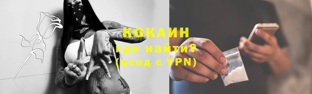крисы Беломорск