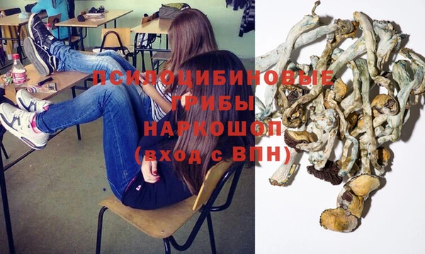 метадон Белокуриха